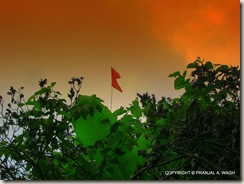 DSCN0035