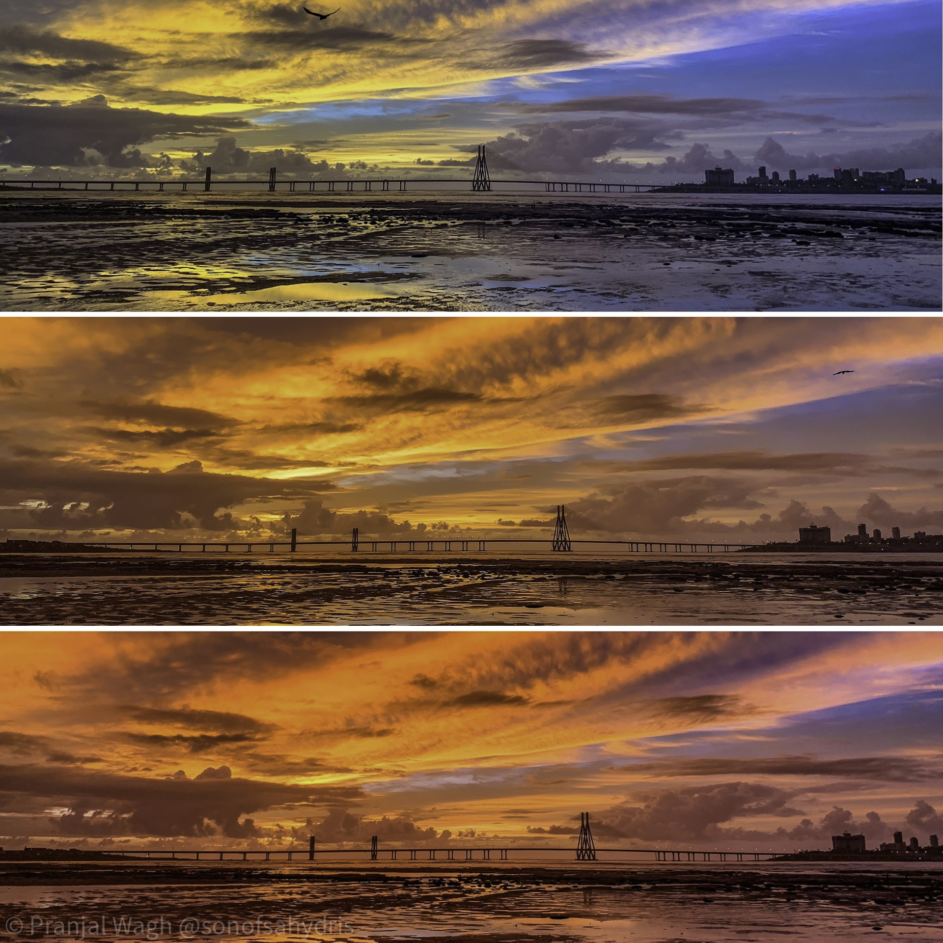 Colors of the Sunset on 23 July 2020