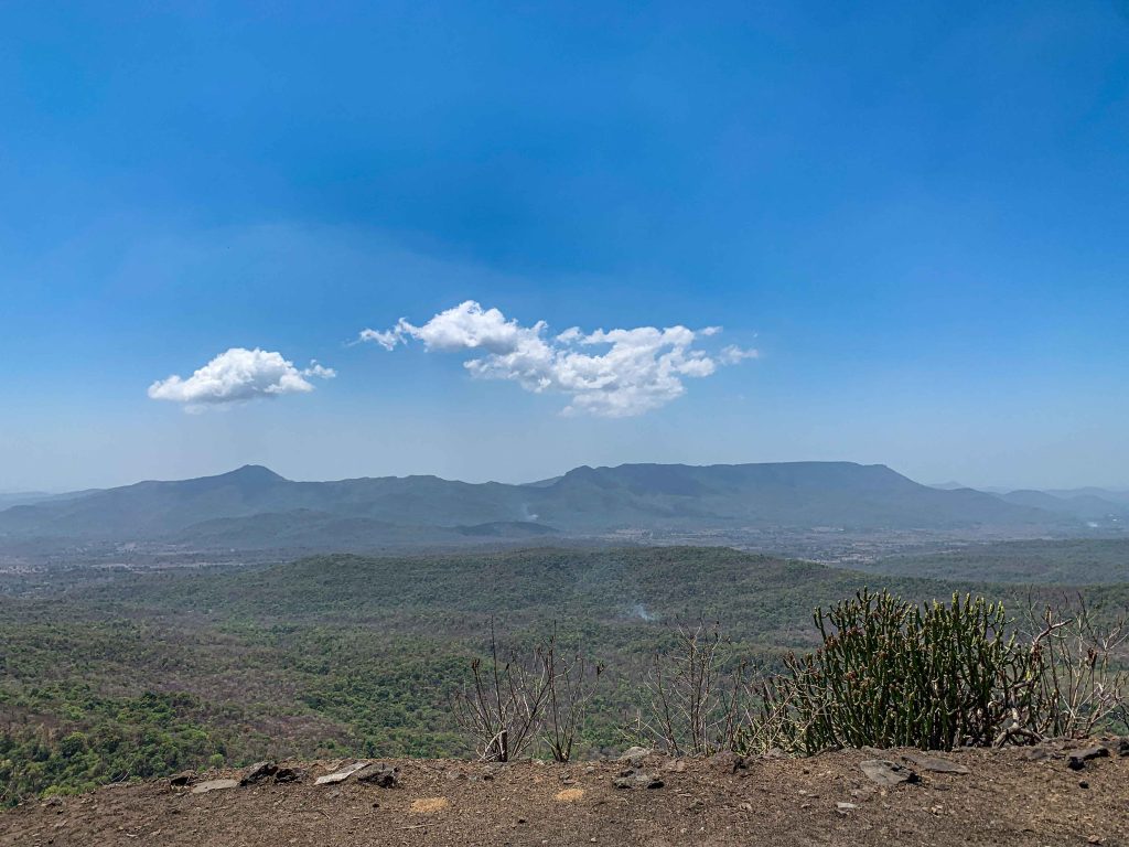 तुंगारेश्वरचे जंगल