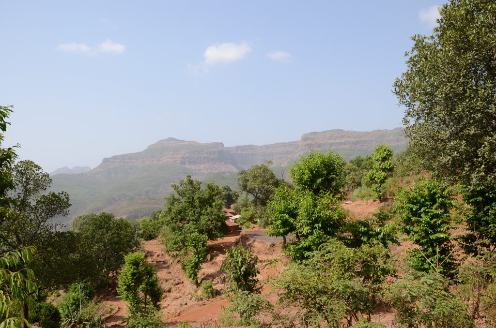 कोकणातलं एक टुमदार गाव – नेरदवाडी!