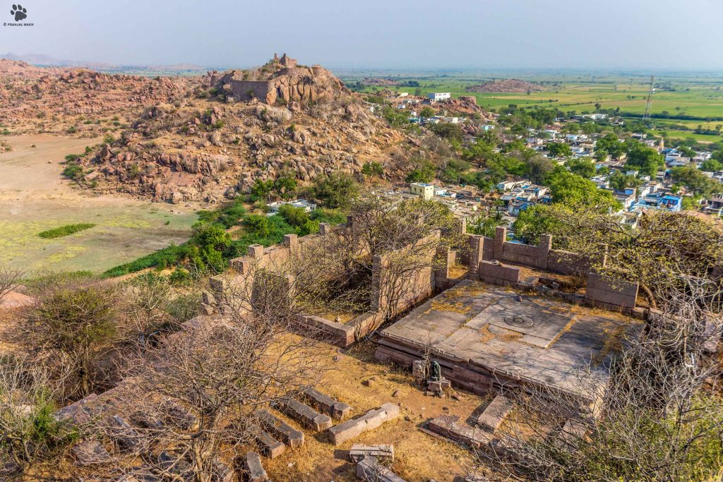 औरंगजेबाने उद्ध्वस्त केलेलं वेणुगोपालस्वामी मंदिर आणि मागे होसकिल्ला