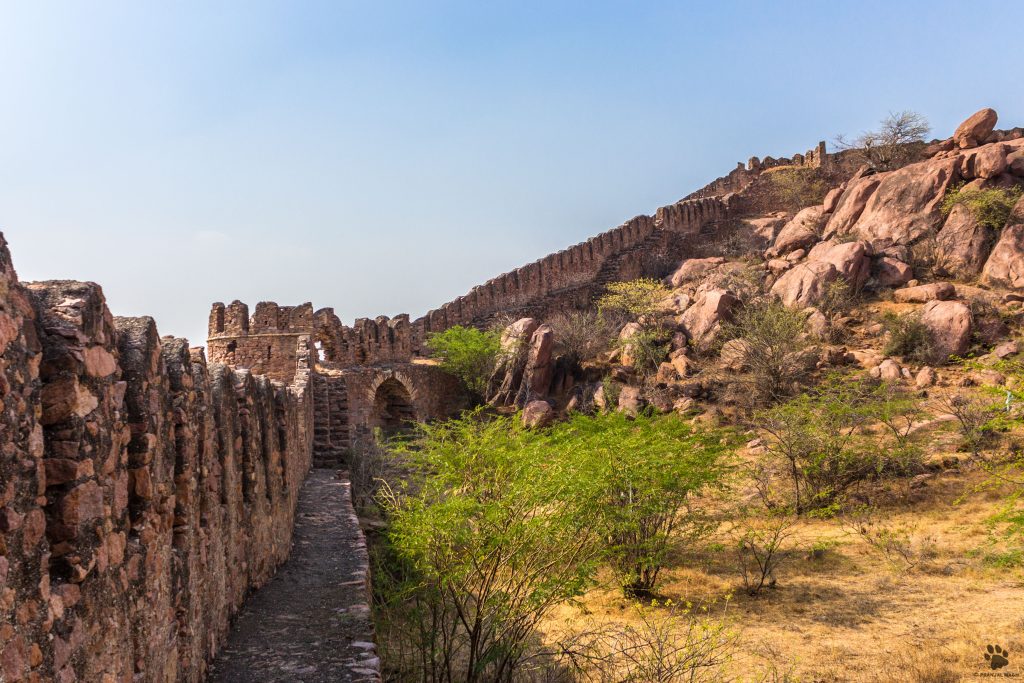 वागीनगेरा किल्ल्याचा आतील दरवाजा
