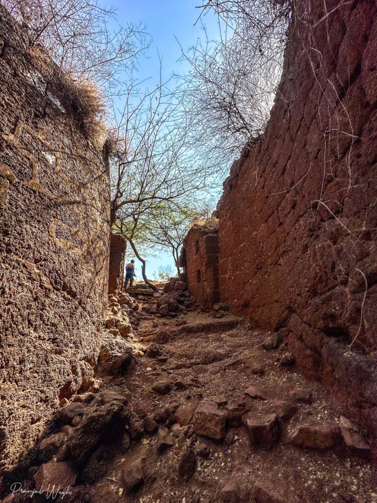 गोमुखी प्रवेशद्वार - होन्नुरगड!